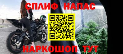ГАЛЛЮЦИНОГЕННЫЕ ГРИБЫ Кизляр