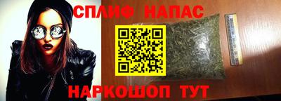 сатива Керчь