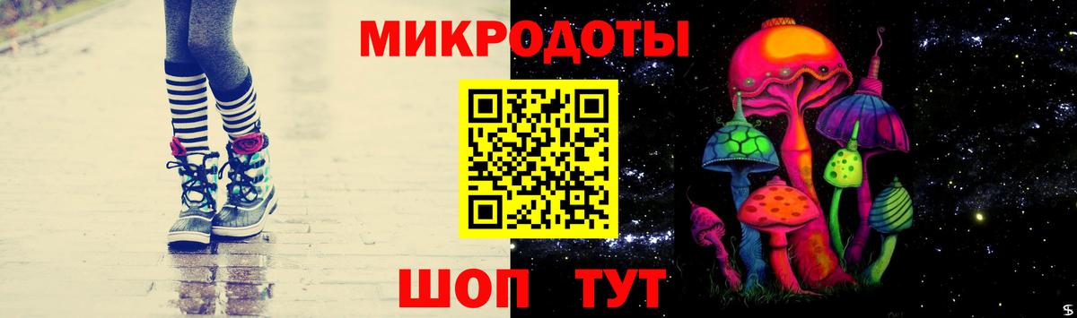 Псилоцибиновые грибы Psilocybe Бор